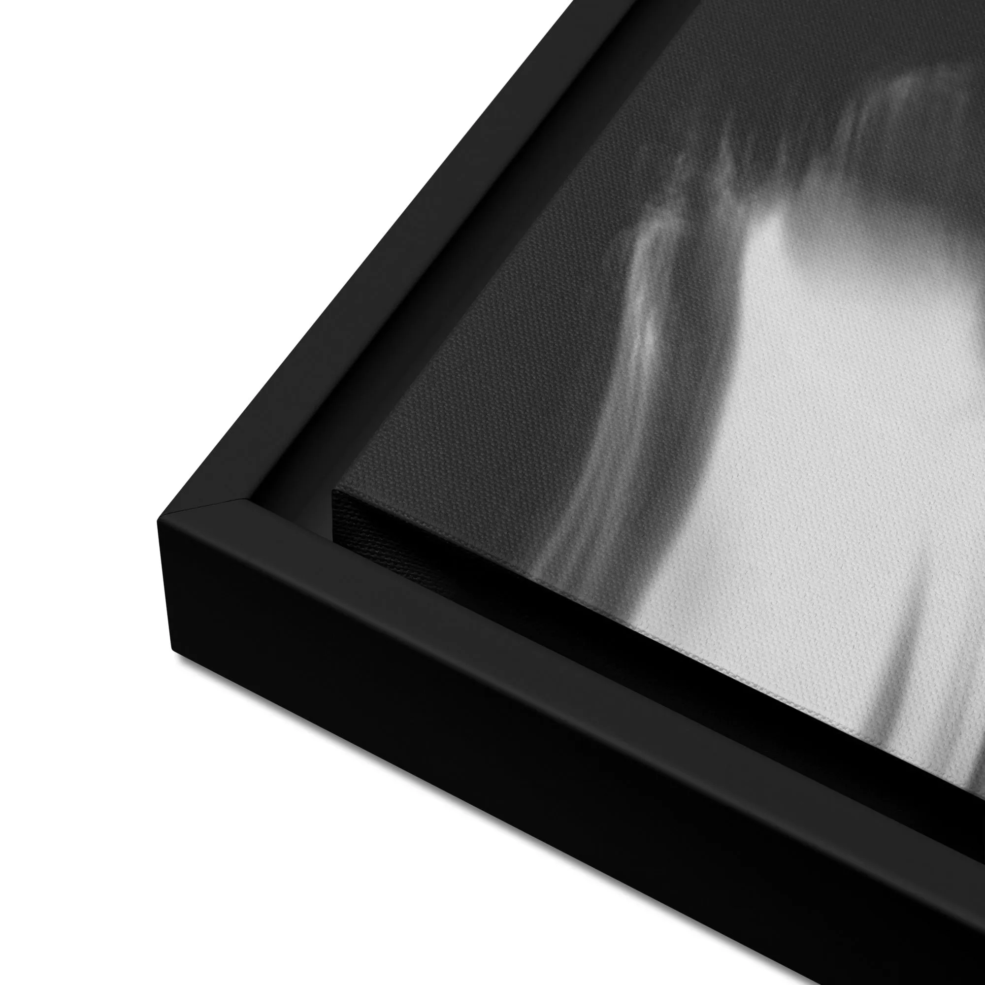 Silent Lady Framed Canvas Print