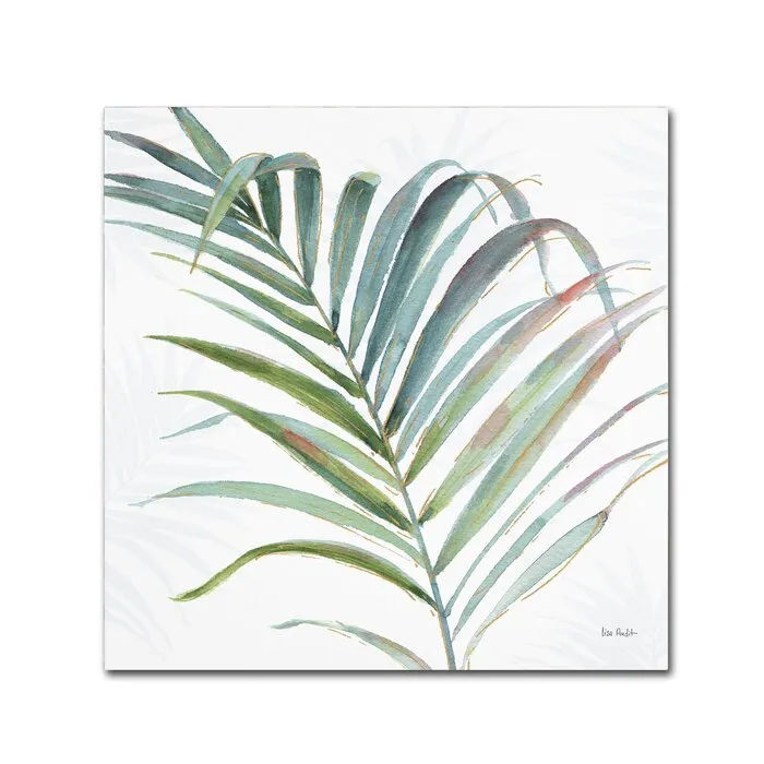 'Tropical Blush V' Print on Wrapped Canvas 18" H x 18" W #1476HW